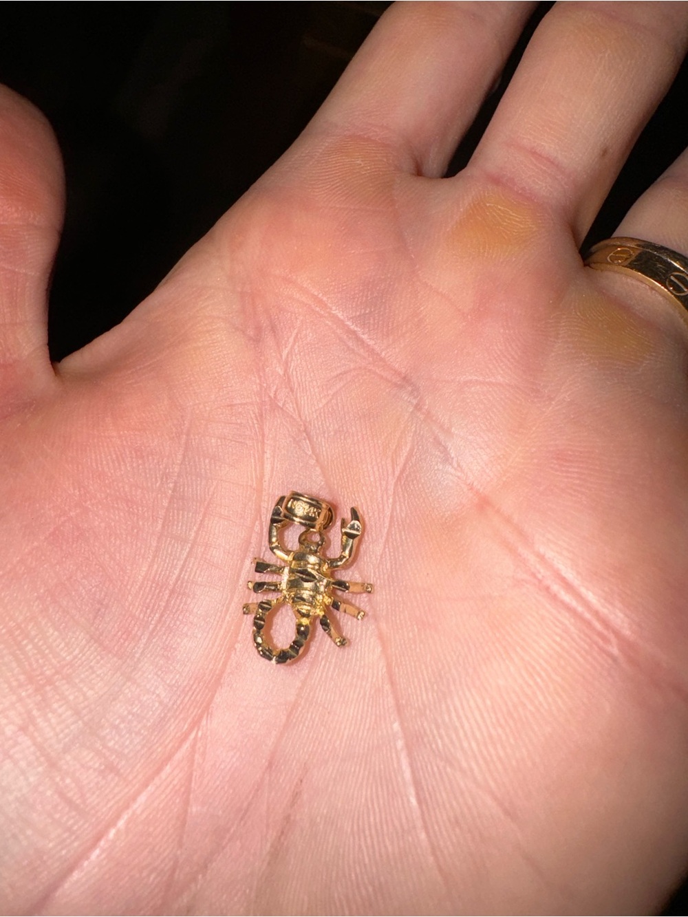 14k Gold Scorpion zodiac Charm Pendant